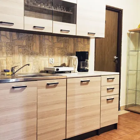 Anna Проживание в семье Карпач